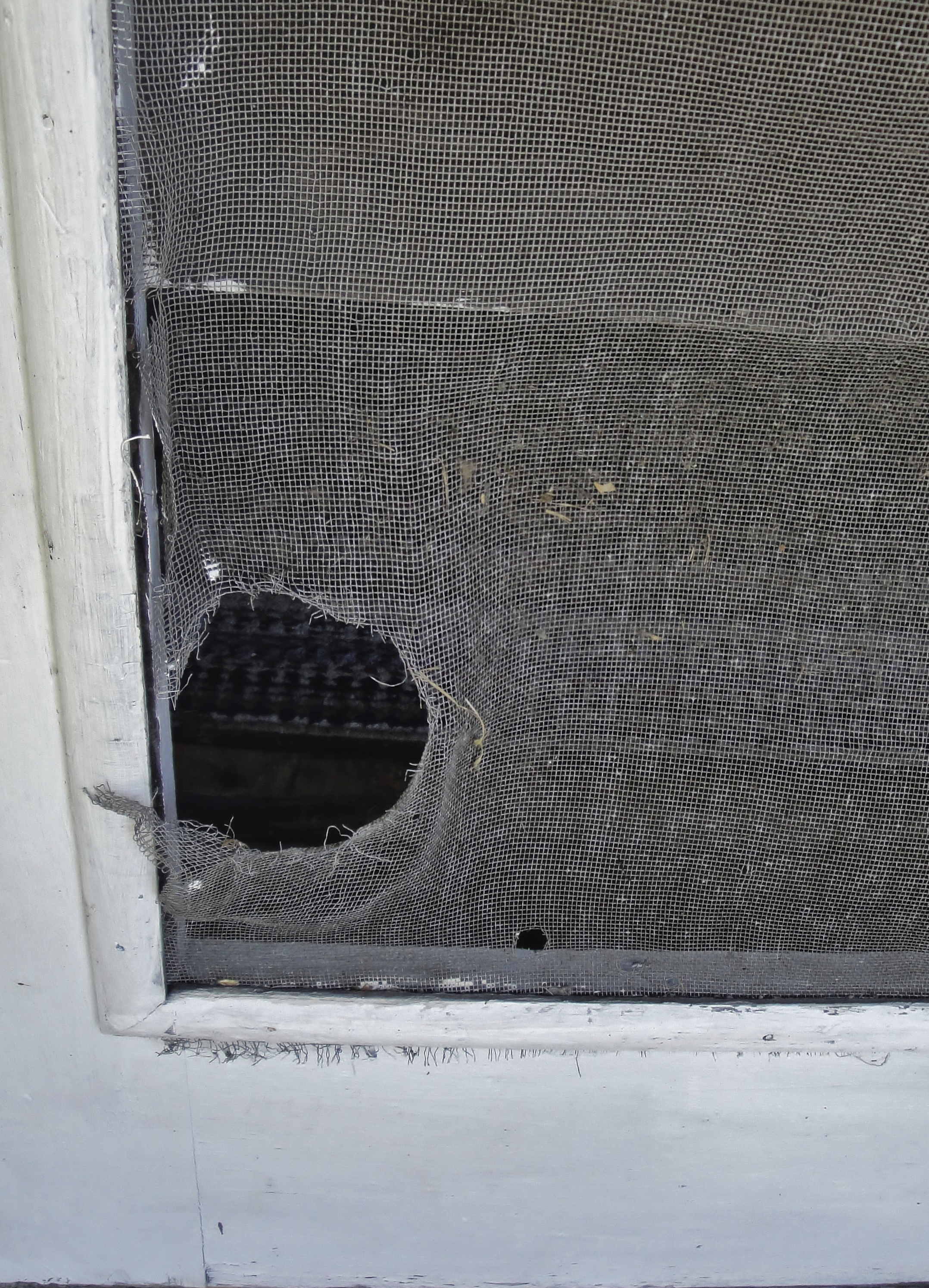 Idaho Falls Screen Door Replacement, CK's Windows and Doors